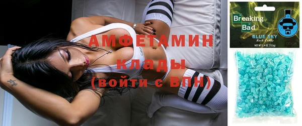твердый Алексин