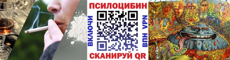 Псилоцибиновые грибы GOLDEN TEACHER  купить наркотики цена  Ревда 