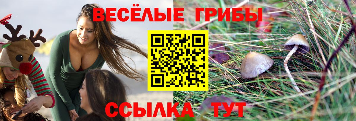 Ревда  Псилоцибиновые грибы GOLDEN TEACHER  Вход с VPN  Галлюциногенные грибы ЛСД 
